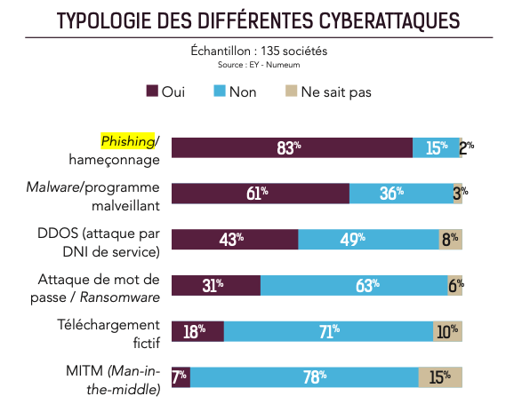Typologie des cyberattaques auxquelles font face les éditeurs de logiciels français