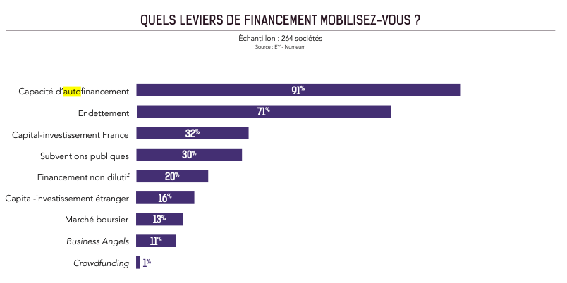 Leviers de financement mobilisés par les éditeurs de logiciels français