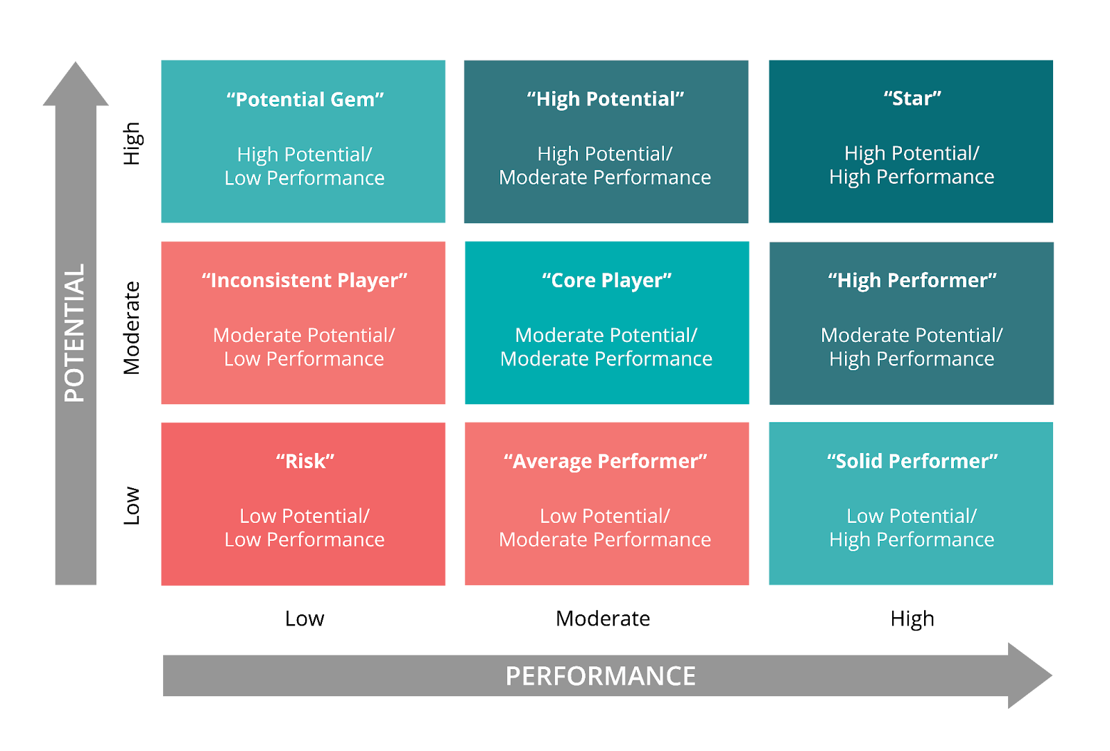 9 box grid for performance management