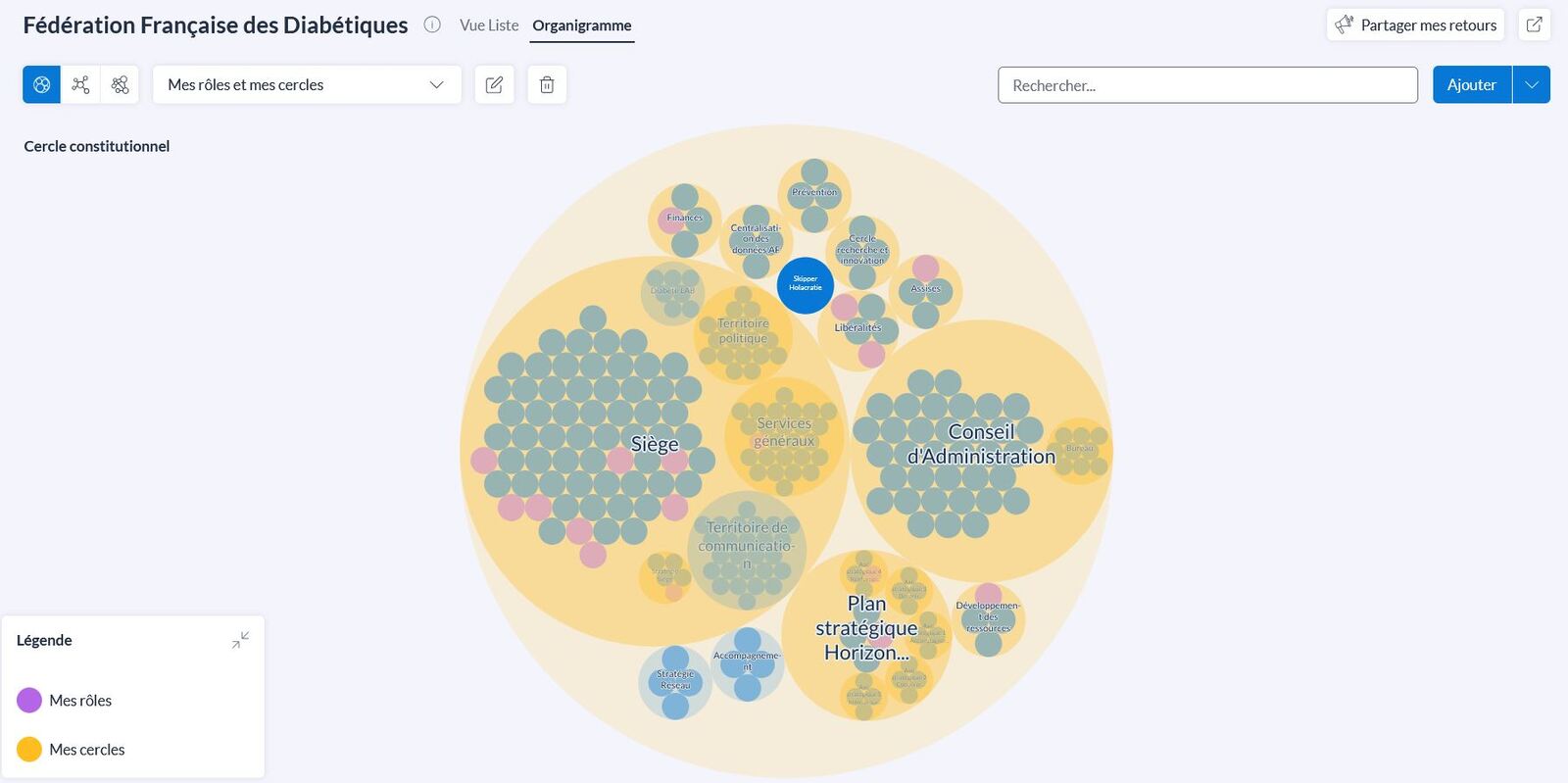 Créer un organigramme sur Holaspirit a permis à la Fédération Française des Diabétiques d'améliorer la gouvernance associative