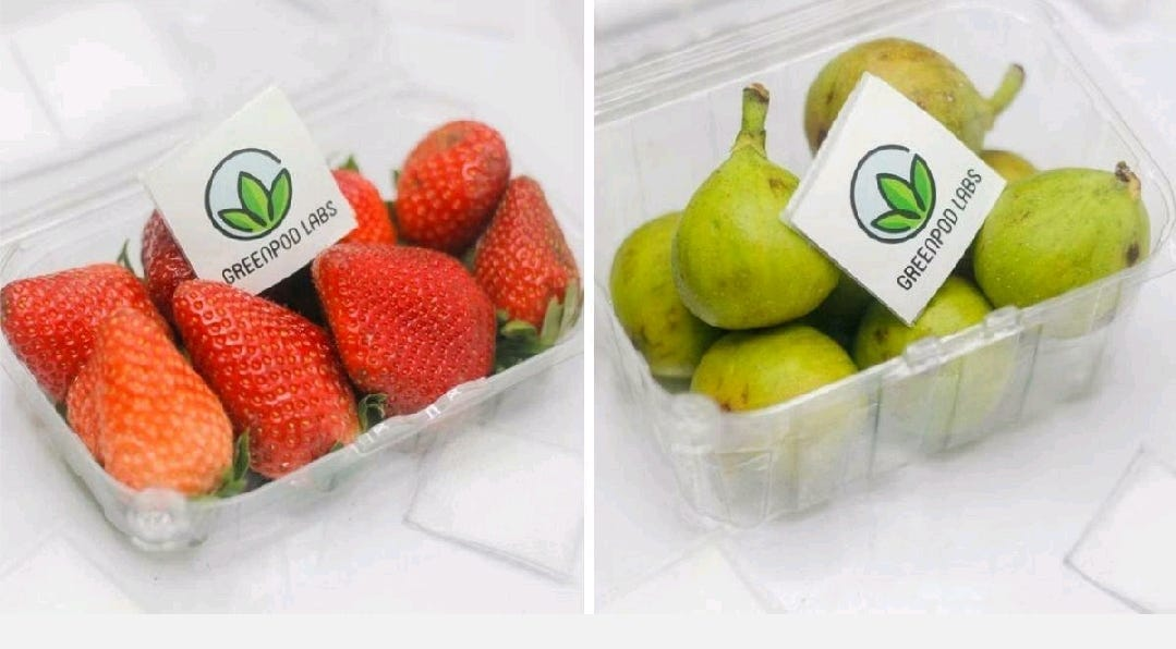 GreenPod Labs biodegradable sachets being added with fruits