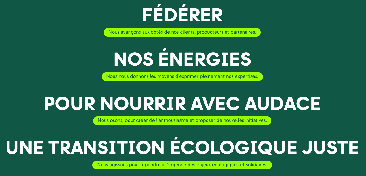 Définir la raison d'être d'elmy a été la première étape pour devenir une entreprise à mission